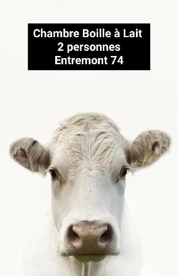 Chambre Trefle Entremont